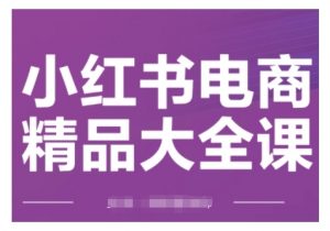 小红书电商精品大全课，快速掌握小红书运营技巧，实现精准引流与爆单目标，轻松玩转小红书电商(更新2月)-就爱副业网