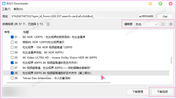 B站视频下载器 Bili23-Downloader v1.55.0 新春版，支持自动高音画质