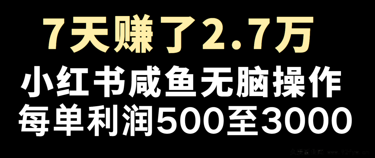 图片[1]-全网首发，7天赚了2.6万，2025利润超级高！-就爱副业网