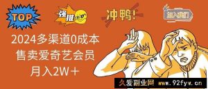 （14118期）2025多渠道0成本售卖爱奇艺会员月入2W＋-就爱副业网