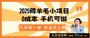 2025薅羊毛小项目，0成本 手机可做，几秒钟一单，收益无上限-就爱副业网