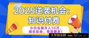 （14166期）2025逆袭项目——知识付费，小白也能月入10万年入百万，抓住机会彻底翻…-就爱副业网