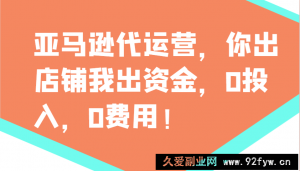 亚马逊代运营，你出店铺我出资金，0投入，0费用，无责任每天300分红，赢亏我承担-就爱副业网