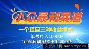 （14300期）【灵狐计划】视频号最新爆火赛道，三种收益模式，0粉新号条条热门原创…-就爱副业网