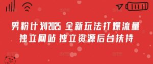 男粉计划2025  全新玩法打爆流量 独立网站 独立资源后台扶持【揭秘】-就爱副业网