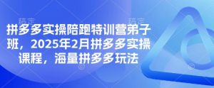 拼多多实操陪跑特训营弟子班，2025年2月拼多多实操课程，海量拼多多玩法-就爱副业网