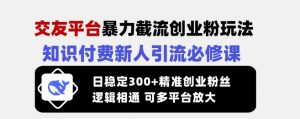 交友平台暴力截流创业粉玩法，知识付费新人引流必修课，日稳定300+精准创业粉丝，逻辑相通可多平台放大-就爱副业网