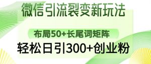 微信引流裂变新玩法：布局50+长尾词矩阵，轻松日引300+创业粉-就爱副业网