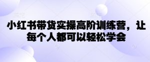 小红书带货实操高阶训练营，让每个人都可以轻松学会-就爱副业网