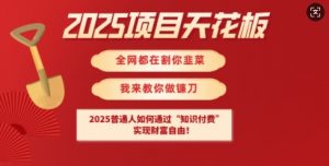 2025项目天花板普通人如何通过知识付费，实现财F自由【揭秘】-就爱副业网