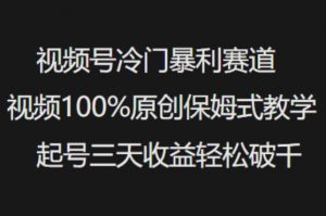 视频号冷门暴利赛道视频100%原创保姆式教学起号三天收益轻松破千-就爱副业网