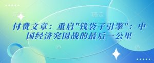 付费文章：重启”钱袋子引擎”：中国经济突围战的最后一公里-就爱副业网