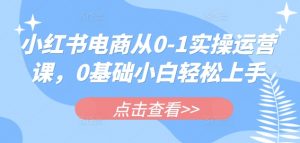 小红书电商从0-1实操运营课，0基础小白轻松上手-就爱副业网