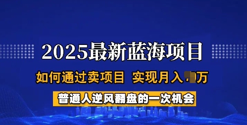 久爱副业网,网赚项目,网赚论坛博客网分享2025蓝海项目，普通人如何通过卖项目，实现月入过W，全过程【揭秘】