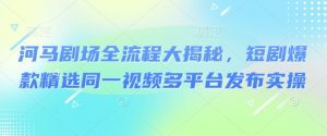 河马剧场全流程大揭秘，短剧爆款精选同一视频多平台发布实操-就爱副业网