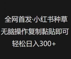 全网首发，小红书种草无脑操作，复制黏贴即可，轻松日入3张-就爱副业网