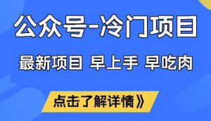 公众号冷门赛道，早上手早吃肉，单月轻松稳定变现1W【揭秘】-就爱副业网