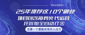 25年推荐这10个副业项目包含褂鸡类、代运营托管类、全自动打金类【揭秘】-就爱副业网