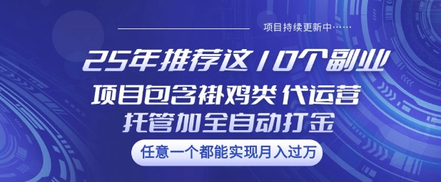 久爱副业网,网赚项目,网赚论坛博客网分享25年推荐这10个副业项目包含褂鸡类、代运营托管类、全自动打金类【揭秘】