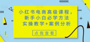 小红书电商高级课程，新手小白必学方法，实操教学+案例分析-就爱副业网