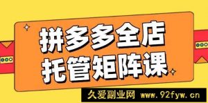 （14328期）拼多多全店托管矩阵课，盈利动销玩法，高效计划设置，提升店铺效益-就爱副业网