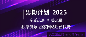 男粉计划2025  全新玩法打爆流量 独立网站 独立资源后台扶持-就爱副业网