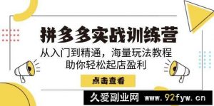 （14392期）拼多多实战训练营，从入门到精通，海量玩法教程，助你轻松起店盈利-就爱副业网