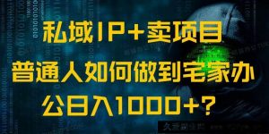 （14400期）私域IP+卖项目，普通人如何做到宅家办公实现日入1000+-就爱副业网