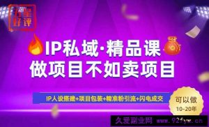 （14406期）2025年“IP私域·密训精品课”，日赚3000+小白避坑年赚百万，暴力引流…-就爱副业网