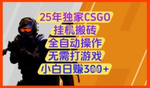 25年独家CSGO挂G搬砖，全自动操作，无需打游戏，小白日入3张+【揭秘】-就爱副业网