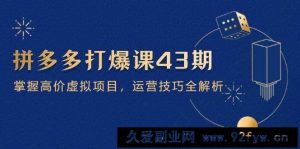 （14546期）拼多多打爆课第 43 期，掌握高价虚拟项目，运营技巧全解析（15节）-就爱副业网